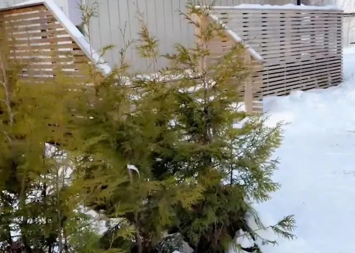 Gardermoen Airport - 5min To Osl Vakantiehuis